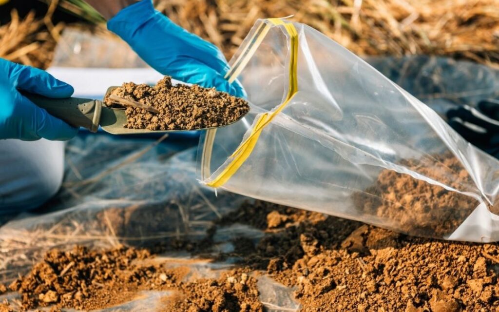 Lucknow's Soil Types
